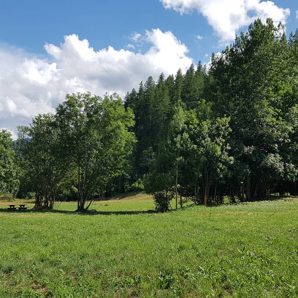 Camping municipal Le Freyssinet Provenza-Alpes-Costa Azul - Vallouise visuel 2/3 Camping municipal Le Freyssinet Provenza-Alpes-Costa Azul - Vallouise visuel 2/3