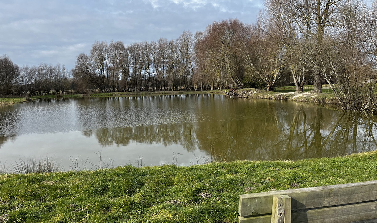 Caravaning de la Mollière Norte-Paso de Calais - Groffliers visuel 7/9