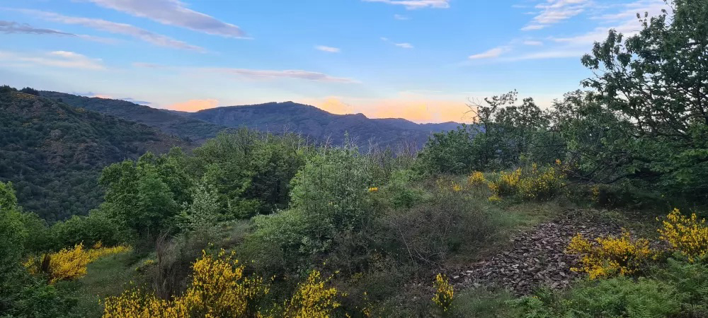 Chateau De L'hom Languedoc-Rosellón - Saumane visuel 6/11 Chateau De L'hom Languedoc-Rosellón - Saumane visuel 6/11