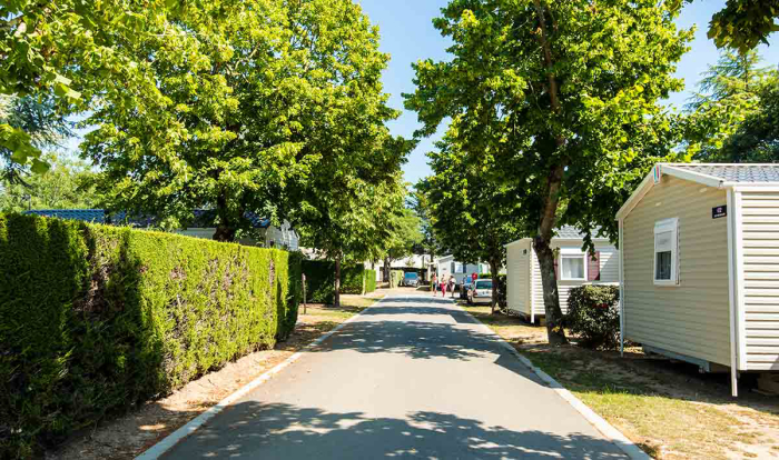 Camping Club MS Le Trianon Países del Loira - Les Sables-d'Olonne visuel 49/51 Camping Club MS Le Trianon Países del Loira - Les Sables-d'Olonne visuel 49/51