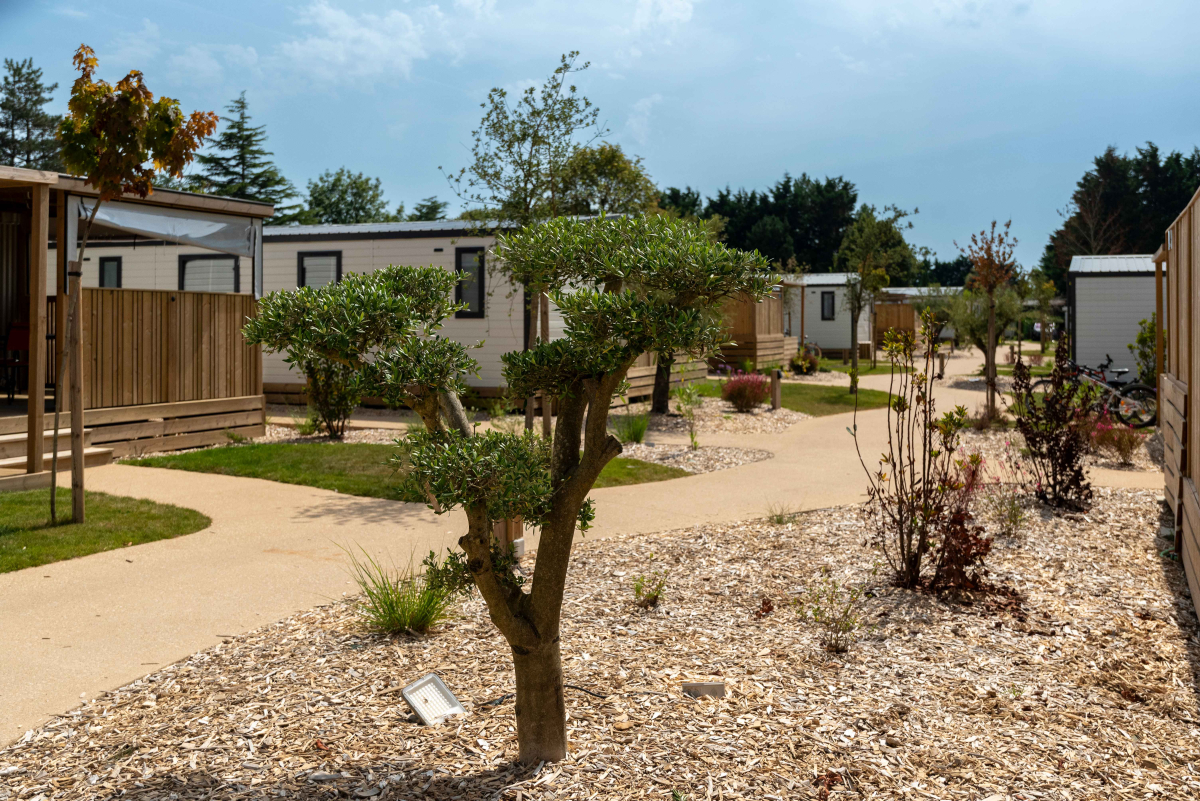 Camping Club MS Le Trianon Países del Loira - Les Sables-d'Olonne visuel 42/51 Camping Club MS Le Trianon Países del Loira - Les Sables-d'Olonne visuel 42/51