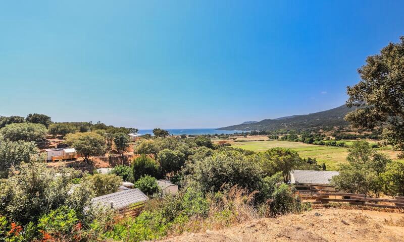 Colomba Córcega - Propriano visuel 6/8