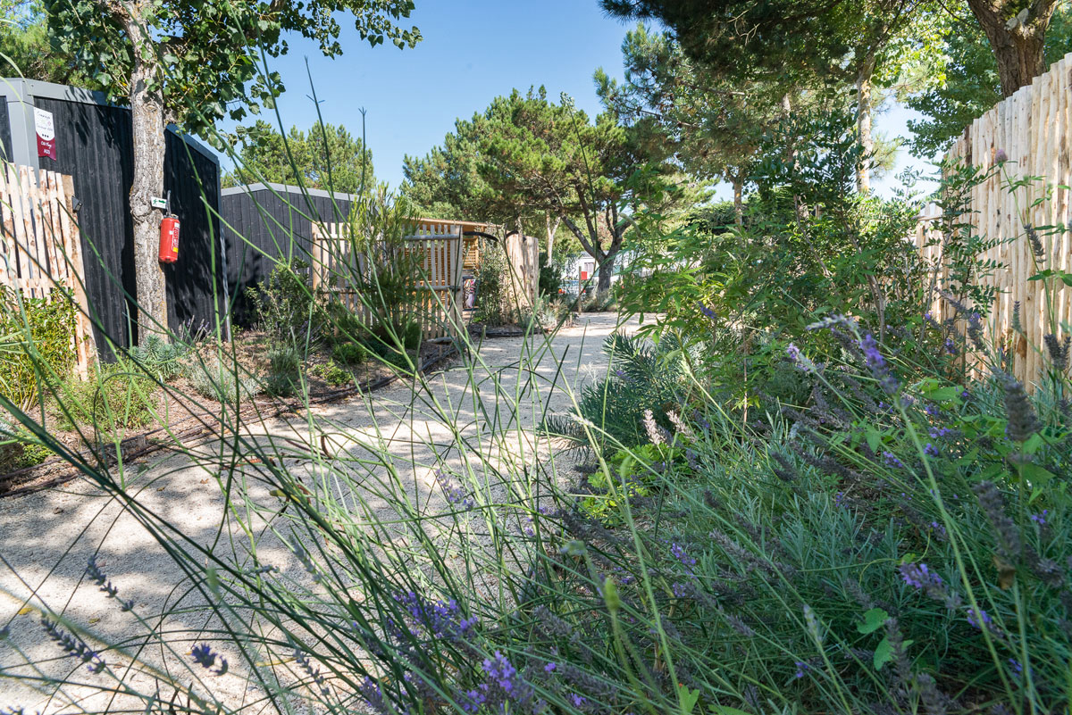 Côté Plage Países del Loira - Saint-Jean-de-Monts visuel 2/15 Côté Plage Países del Loira - Saint-Jean-de-Monts visuel 2/15