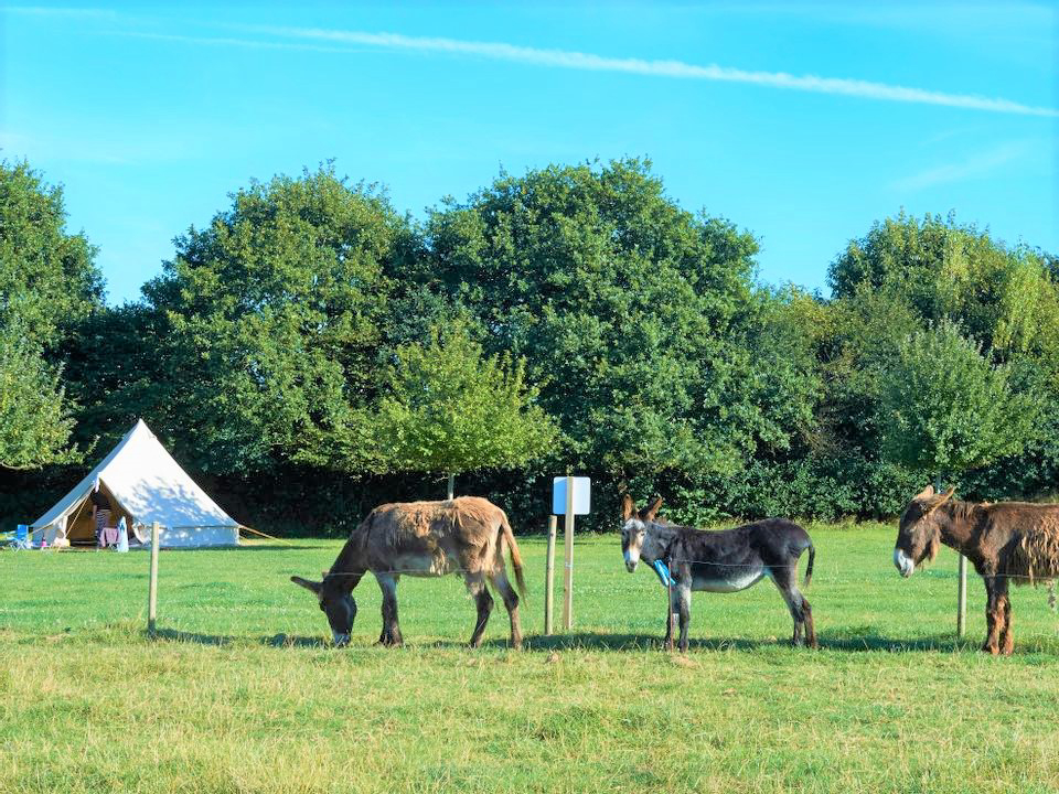 Croas Men Bretaña - Douarnenez visuel 1/1