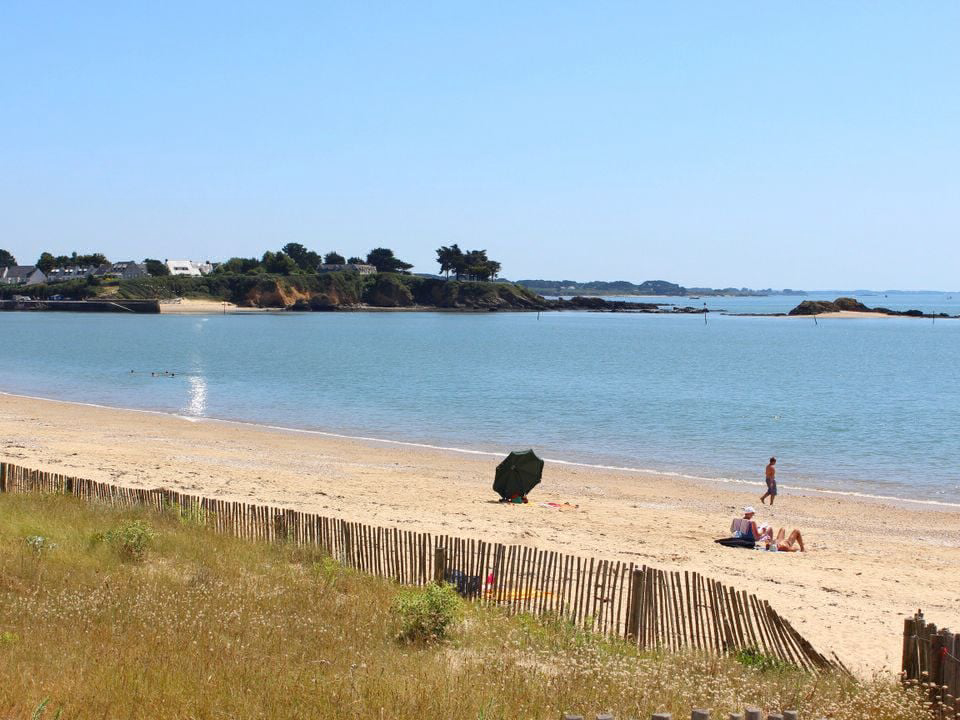 d'Arvor Bretaña - Ambon visuel 5/10 d'Arvor Bretaña - Ambon visuel 5/10