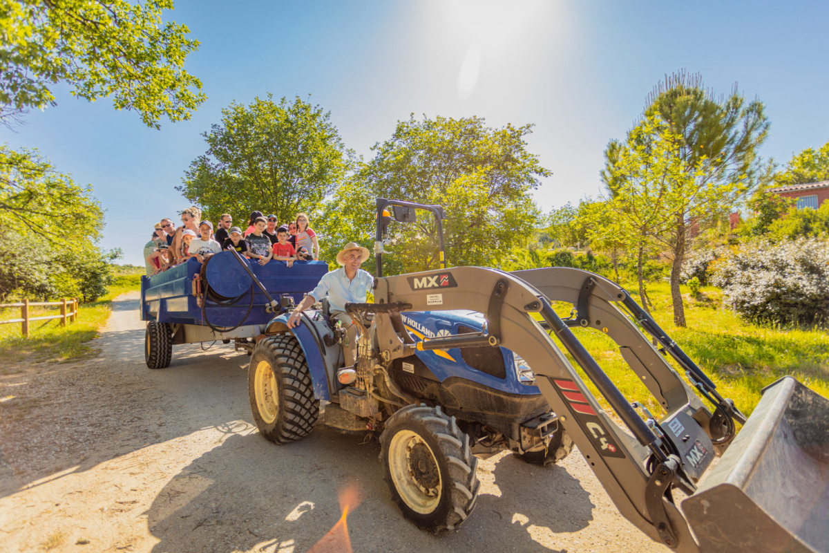 Domaine D'anglas Languedoc-Rosellón - Brissac visuel 3/6 Domaine D'anglas Languedoc-Rosellón - Brissac visuel 3/6