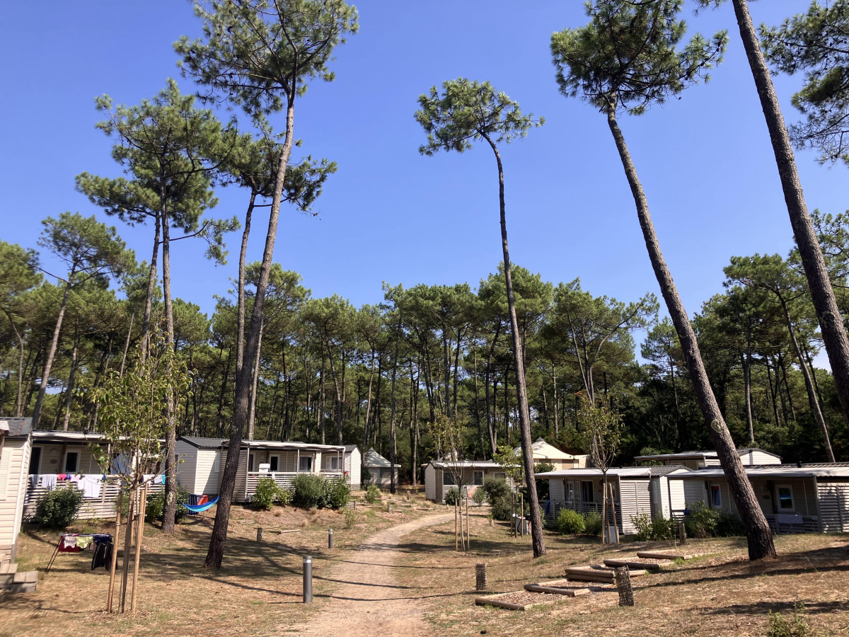 Domaine de Fierbois Aquitania - Capbreton visuel 2/16 Domaine de Fierbois Aquitania - Capbreton visuel 2/16