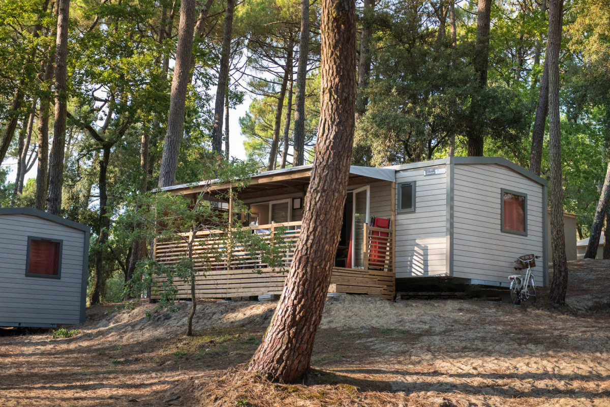 Domaine de Montcalm Poitou-Charentes - Les Mathes-La Palmyre visuel 4/5