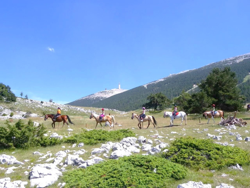 Domaine des Chênes Blancs Provenza-Alpes-Costa Azul - Saint-Saturnin-lès-Apt visuel 18/28