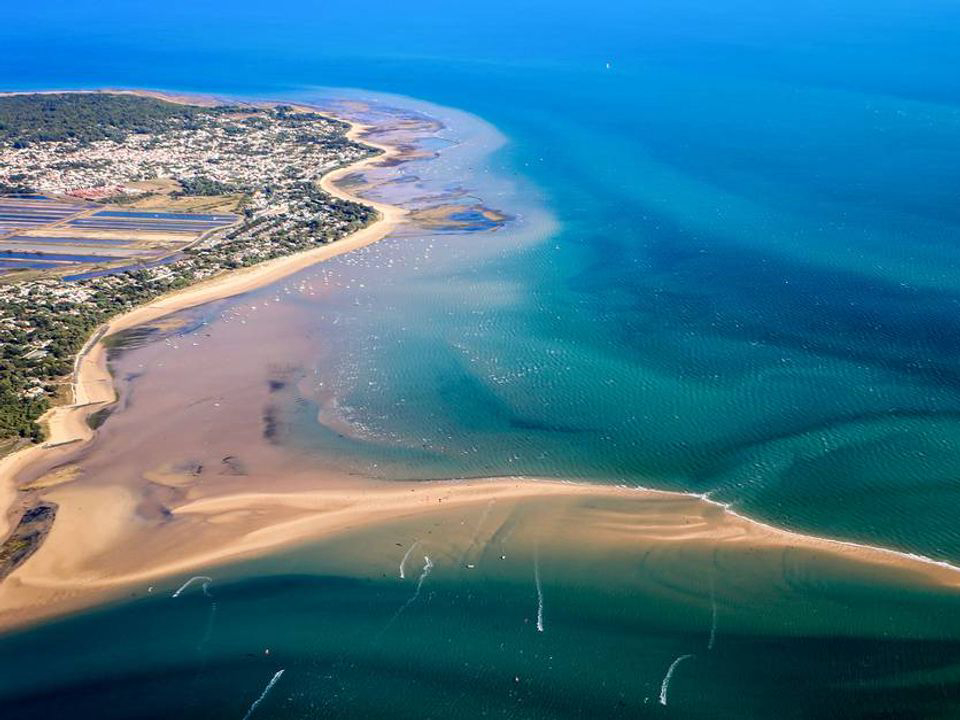 Domaine Résidentiel de plein-air Les Tamarins Poitou-Charentes - Le Bois-Plage-en-Ré visuel 9/9