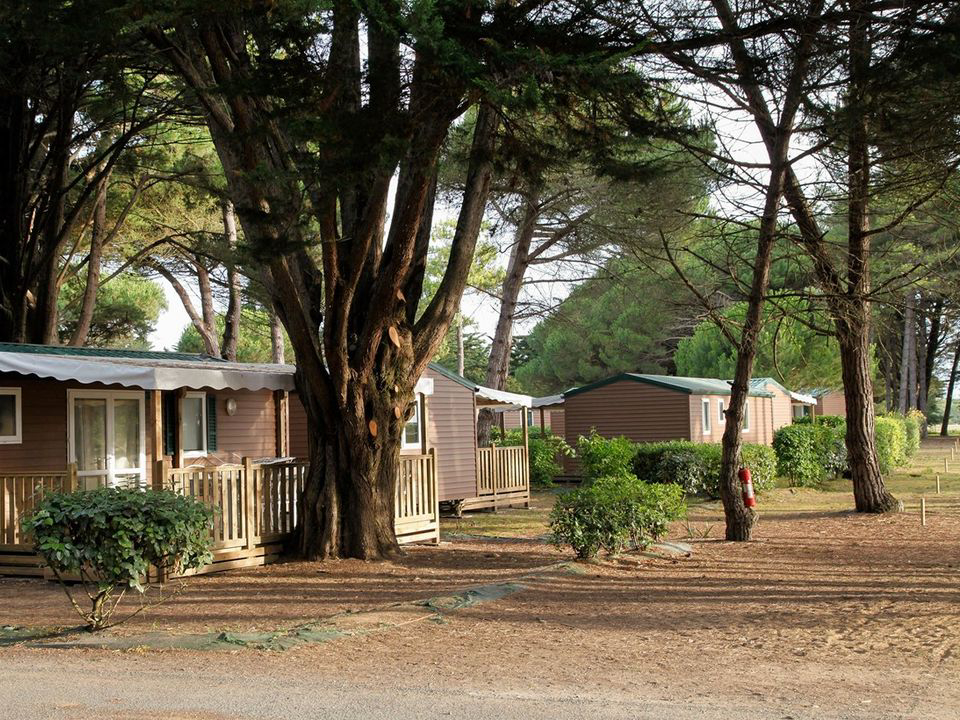 Domaine Résidentiel de plein-air Les Tamarins Poitou-Charentes - Le Bois-Plage-en-Ré visuel 7/9