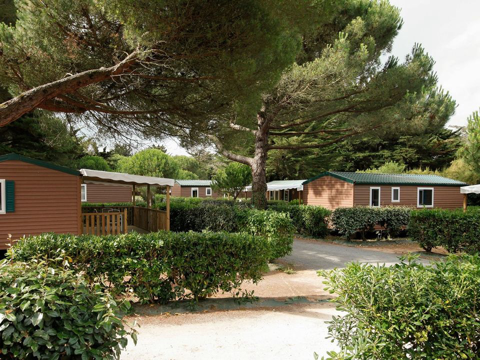 Domaine Résidentiel de plein-air Les Tamarins Poitou-Charentes - Le Bois-Plage-en-Ré visuel 6/9