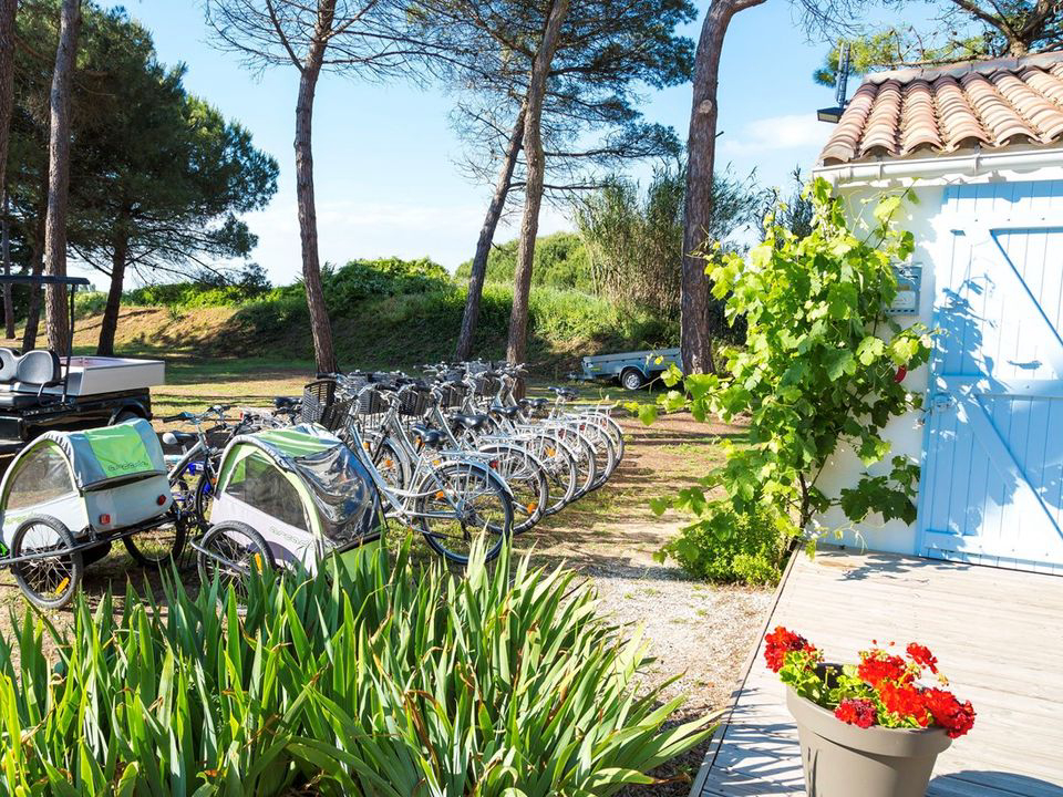 Domaine Résidentiel de plein-air Les Tamarins Poitou-Charentes - Le Bois-Plage-en-Ré visuel 3/9