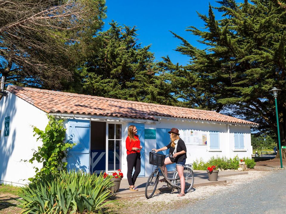 Domaine Résidentiel de plein-air Les Tamarins Poitou-Charentes - Le Bois-Plage-en-Ré visuel 5/9