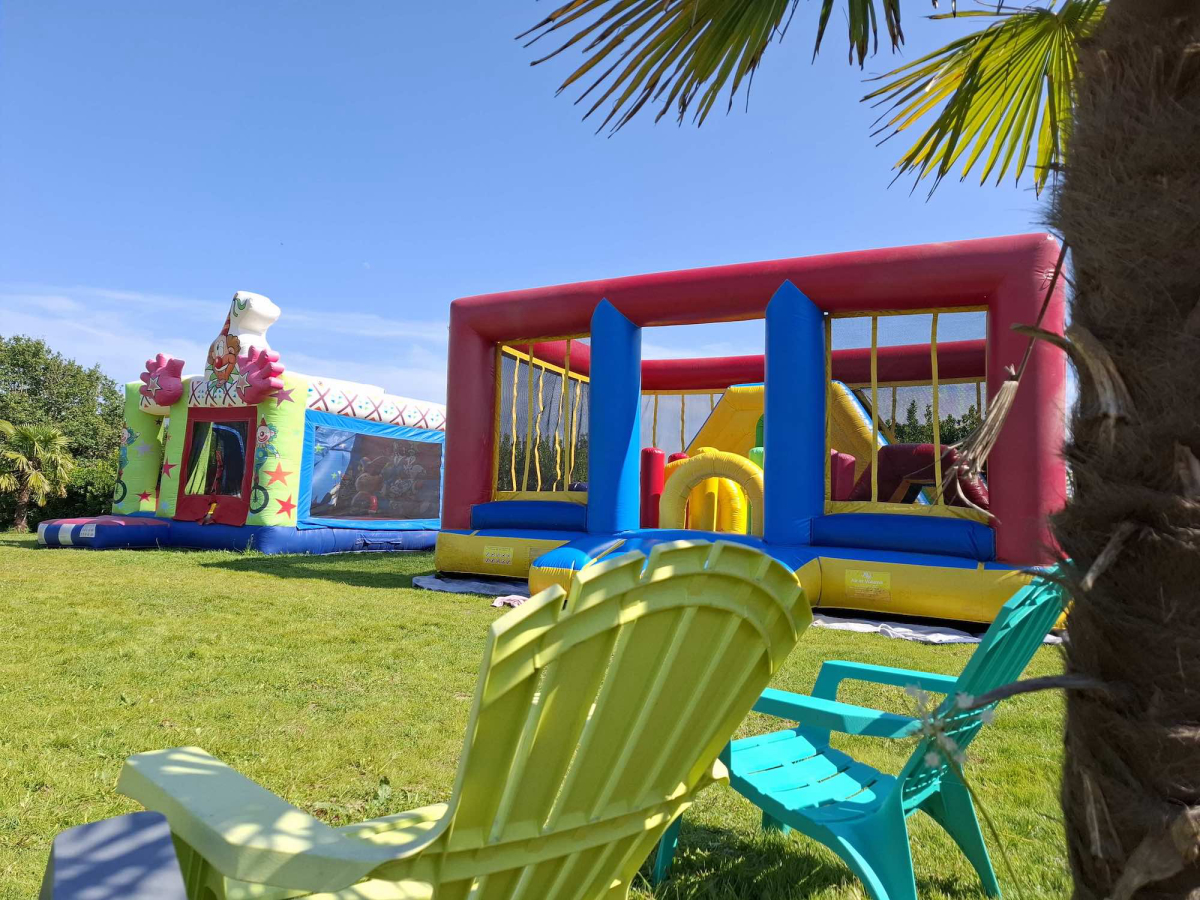 L'Ambois Países del Loira - Mouilleron-le-Captif visuel 29/32