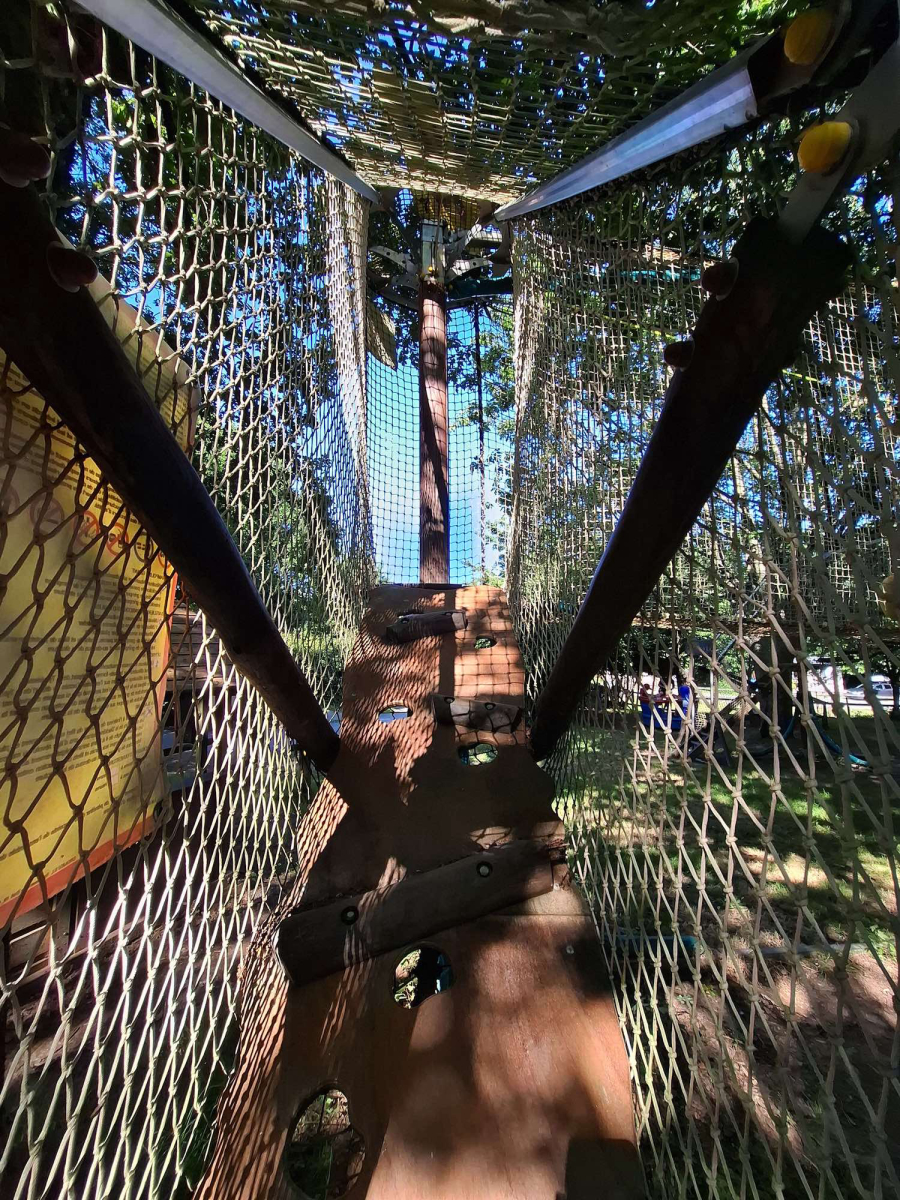 L'Ambois Países del Loira - Mouilleron-le-Captif visuel 27/32