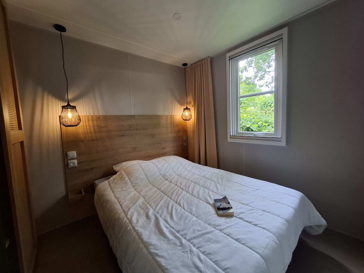 L'Ambois Países del Loira - Mouilleron-le-Captif visuel 22/32