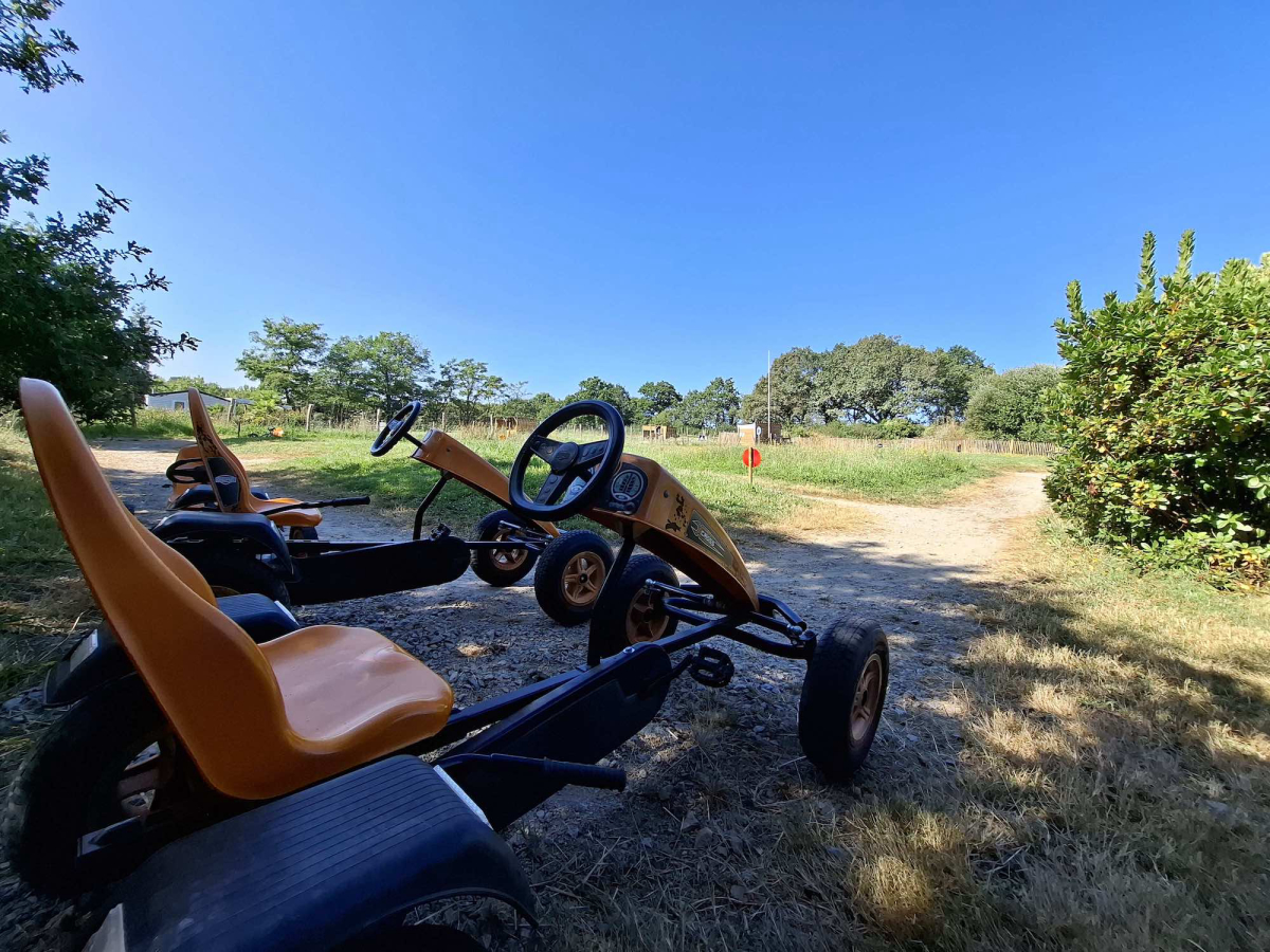 L'Ambois Países del Loira - Mouilleron-le-Captif visuel 23/32