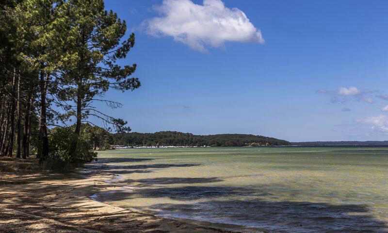L'Arbre d'Or Aquitania - Parentis-en-Born visuel 4/5
