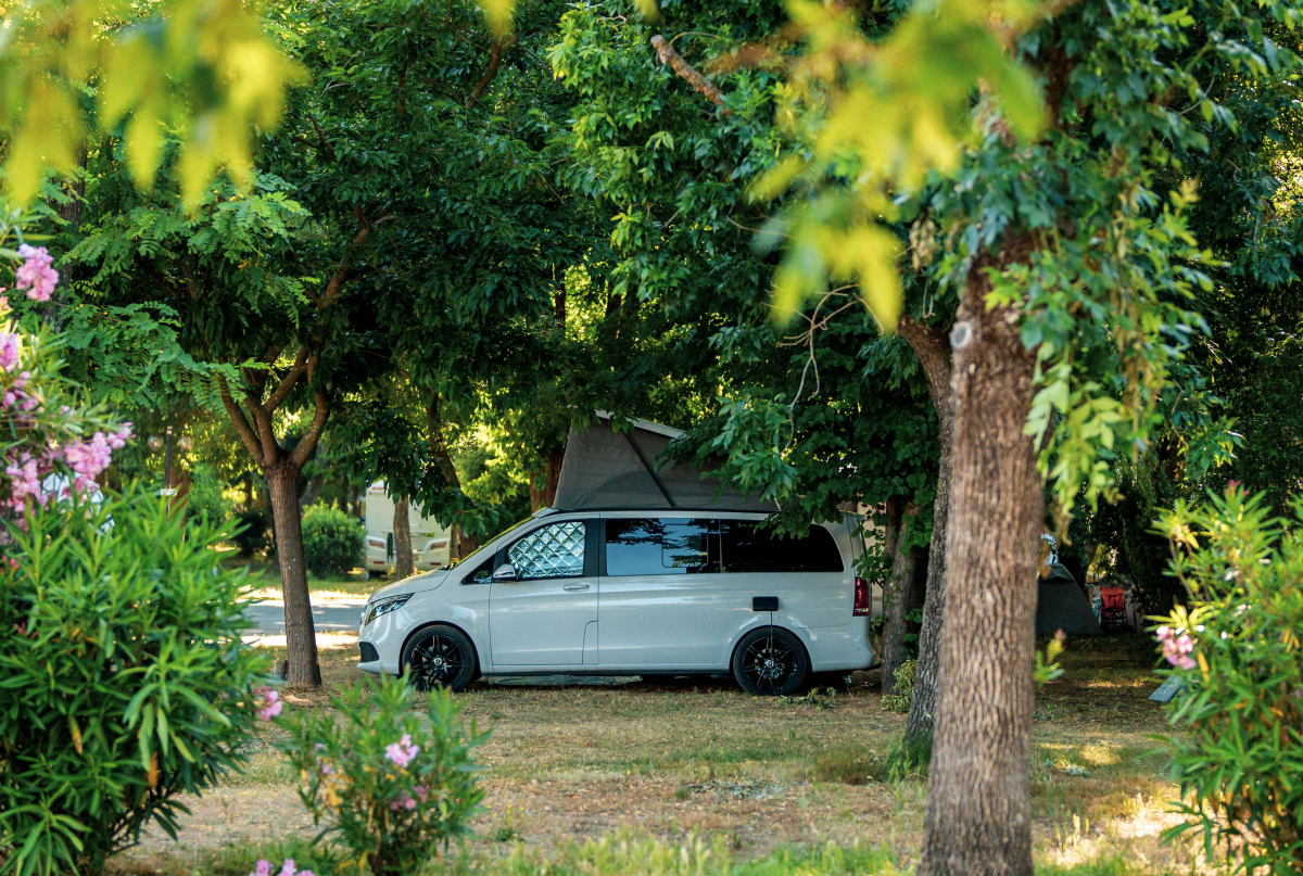 L'Argentière Provenza-Alpes-Costa Azul - Cogolin visuel 13/15
