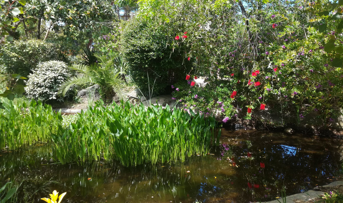 L'Arutoli Córcega - Porto-Vecchio visuel 6/6 L'Arutoli Córcega - Porto-Vecchio visuel 6/6