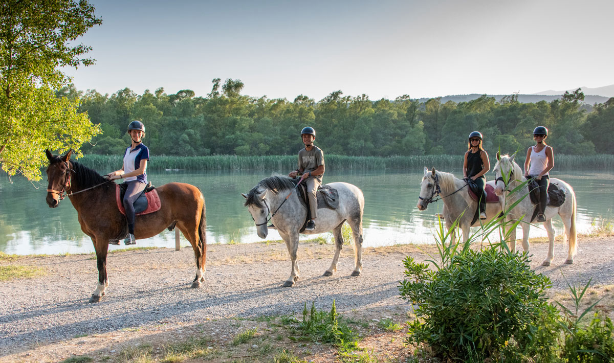L'Hippocampe Provenza-Alpes-Costa Azul - Volonne visuel 15/36