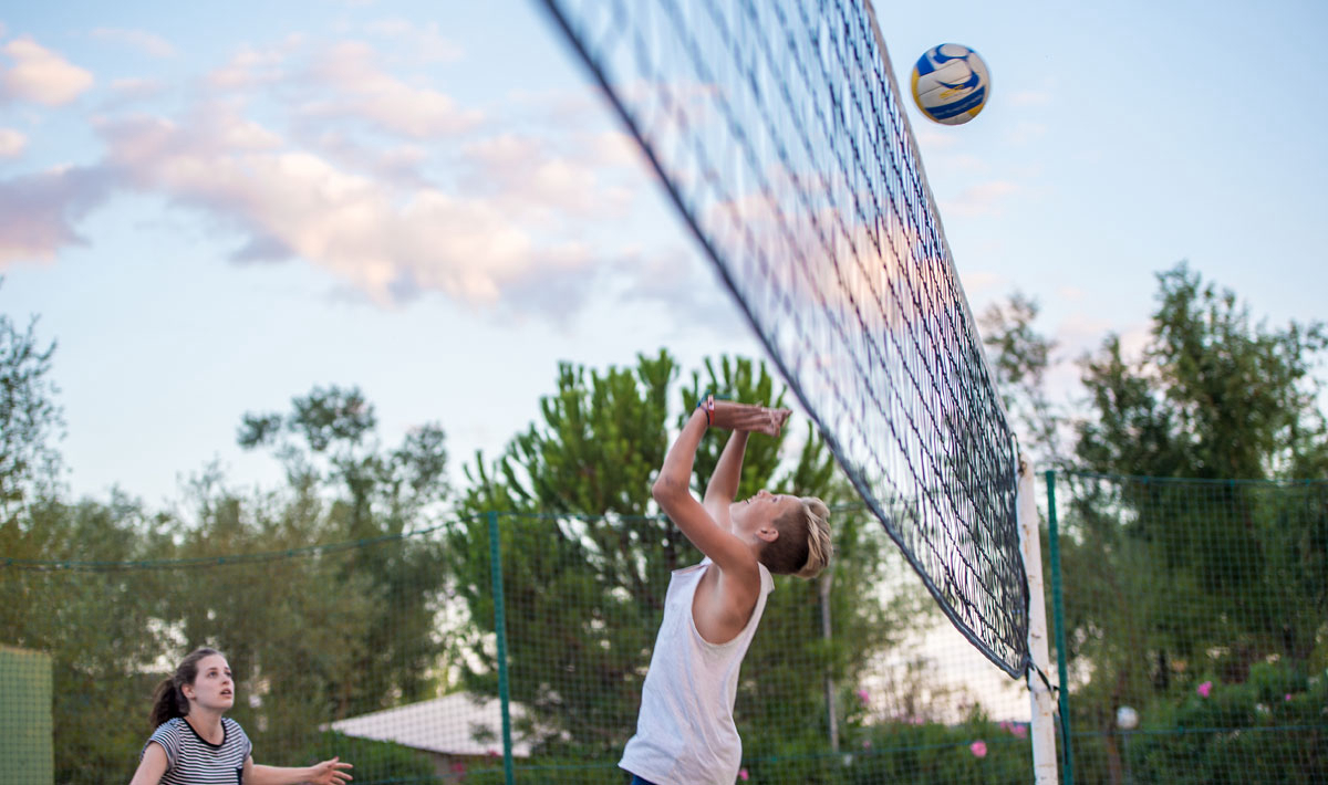 L'Hippocampe Provenza-Alpes-Costa Azul - Volonne visuel 17/36