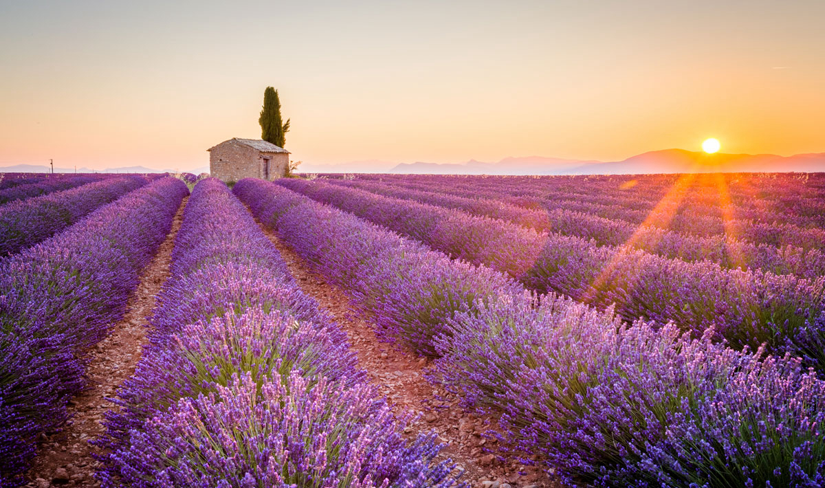 L'Hippocampe Provenza-Alpes-Costa Azul - Volonne visuel 34/36