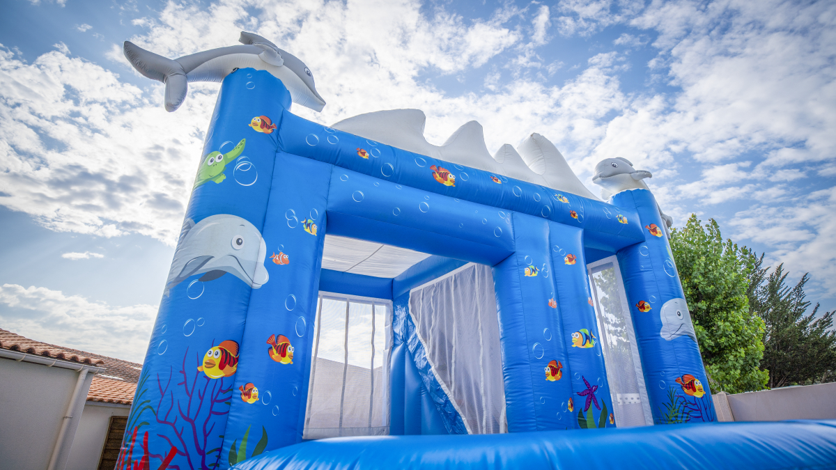 L'Océan Países del Loira - Saint-Jean-de-Monts visuel 13/28 L'Océan Países del Loira - Saint-Jean-de-Monts visuel 13/28