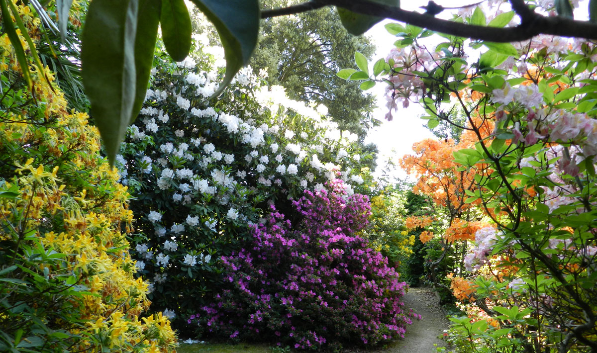 L'Orangerie de Lanniron Bretaña - Quimper visuel 12/18 L'Orangerie de Lanniron Bretaña - Quimper visuel 12/18