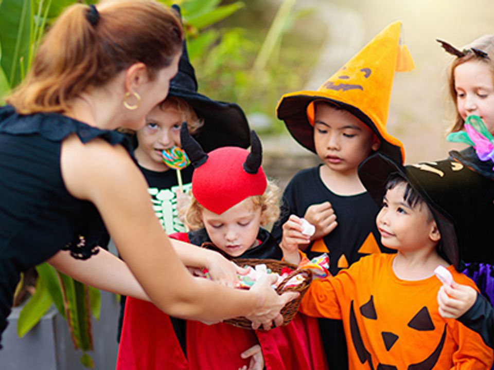 La Berge Fleurie Languedoc-Rosellón - Mialet visuel 4/5 La Berge Fleurie Languedoc-Rosellón - Mialet visuel 4/5