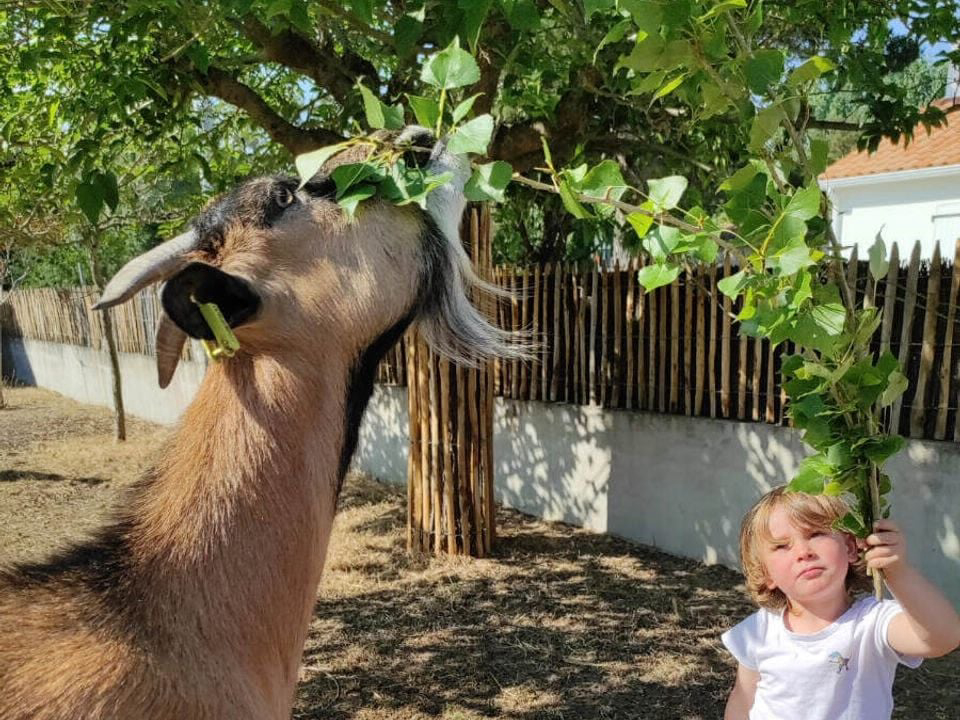 La Conge Países del Loira - Saint-Hilaire-de-Riez visuel 4/7
