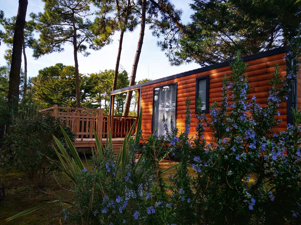 La Conge Países del Loira - Saint-Hilaire-de-Riez visuel 5/7