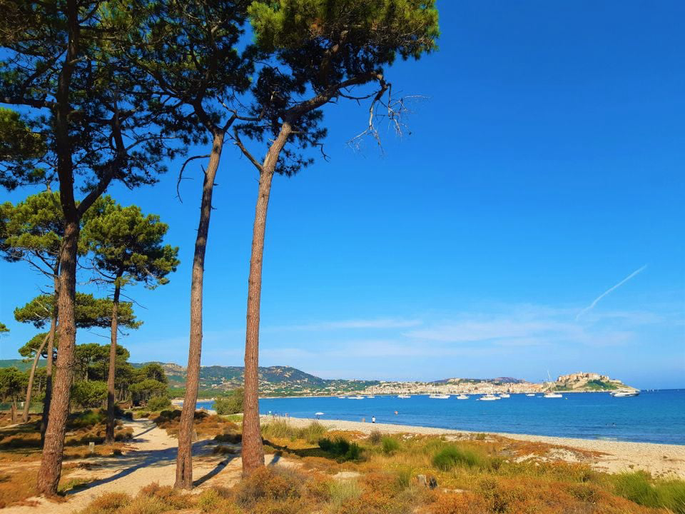 La Dolce Vita Córcega - Calvi visuel 1/11 La Dolce Vita Córcega - Calvi visuel 1/11