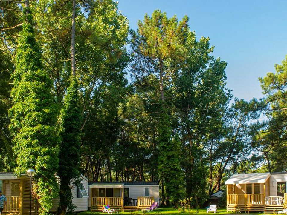 La Dune Blanche Norte-Paso de Calais - Camiers visuel 3/7 La Dune Blanche Norte-Paso de Calais - Camiers visuel 3/7