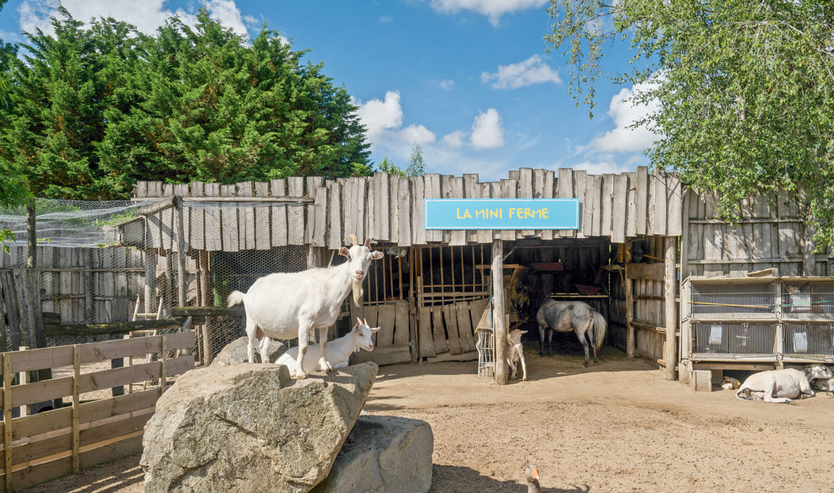 La Grand'Métairie Países del Loira - Saint-Hilaire-la-Forêt visuel 13/46