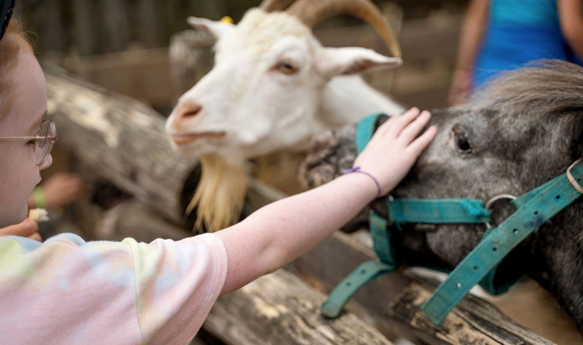 La Grand'Métairie Países del Loira - Saint-Hilaire-la-Forêt visuel 26/46