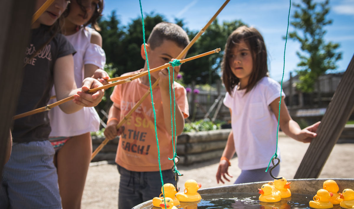 La Grand'Métairie Países del Loira - Saint-Hilaire-la-Forêt visuel 28/46