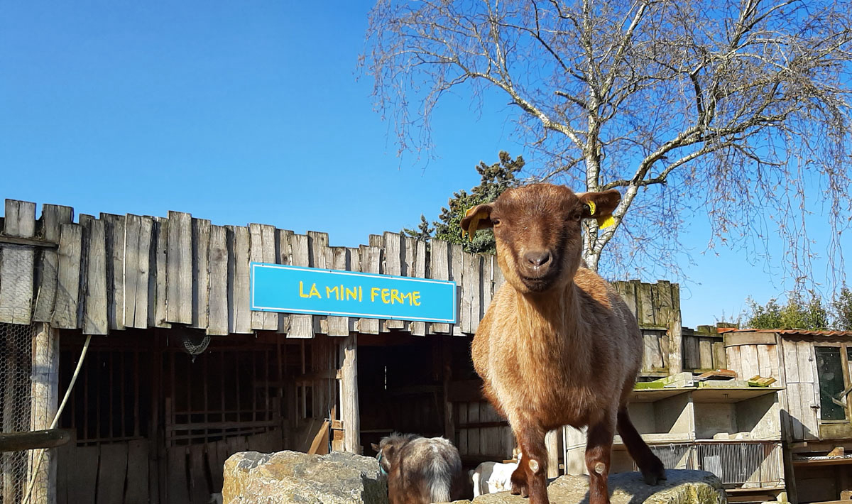 La Grand'Métairie Países del Loira - Saint-Hilaire-la-Forêt visuel 22/46