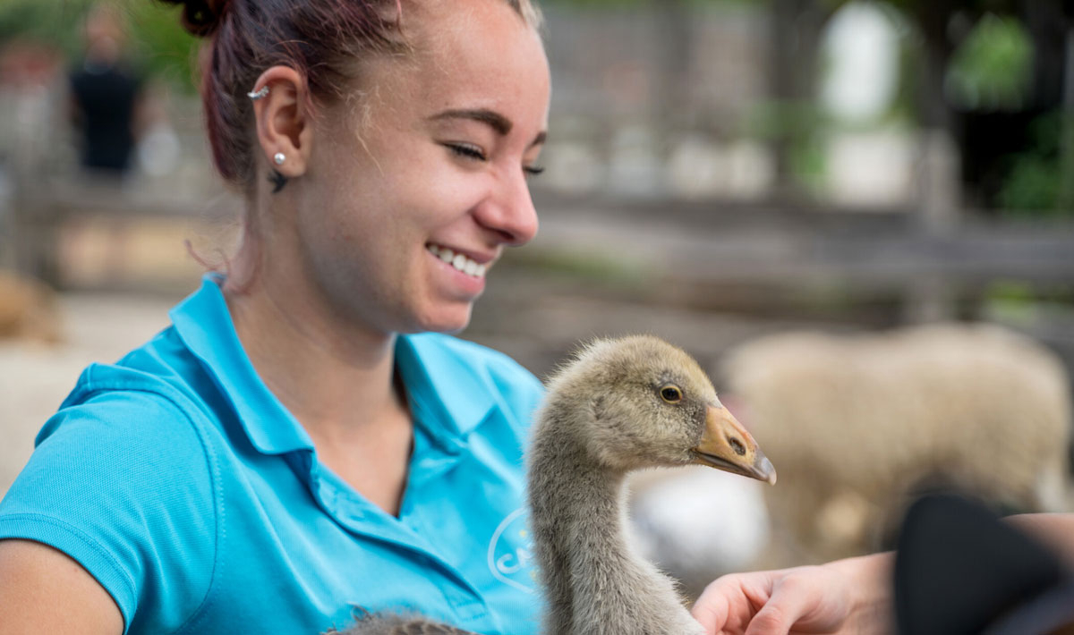 La Grand'Métairie Países del Loira - Saint-Hilaire-la-Forêt visuel 27/46