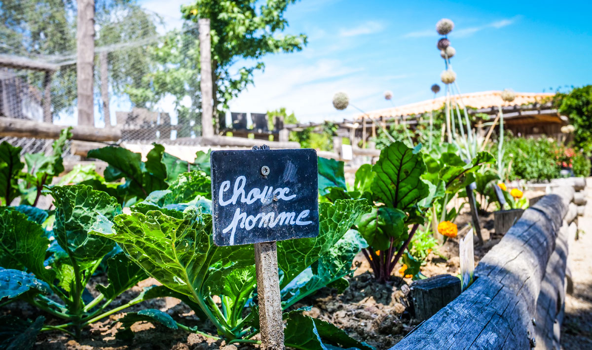 La Grand'Métairie Países del Loira - Saint-Hilaire-la-Forêt visuel 29/46