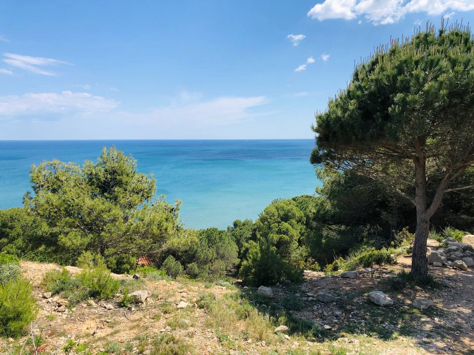 La Grange Neuve Languedoc-Rosellón - Sigean visuel 5/8 La Grange Neuve Languedoc-Rosellón - Sigean visuel 5/8