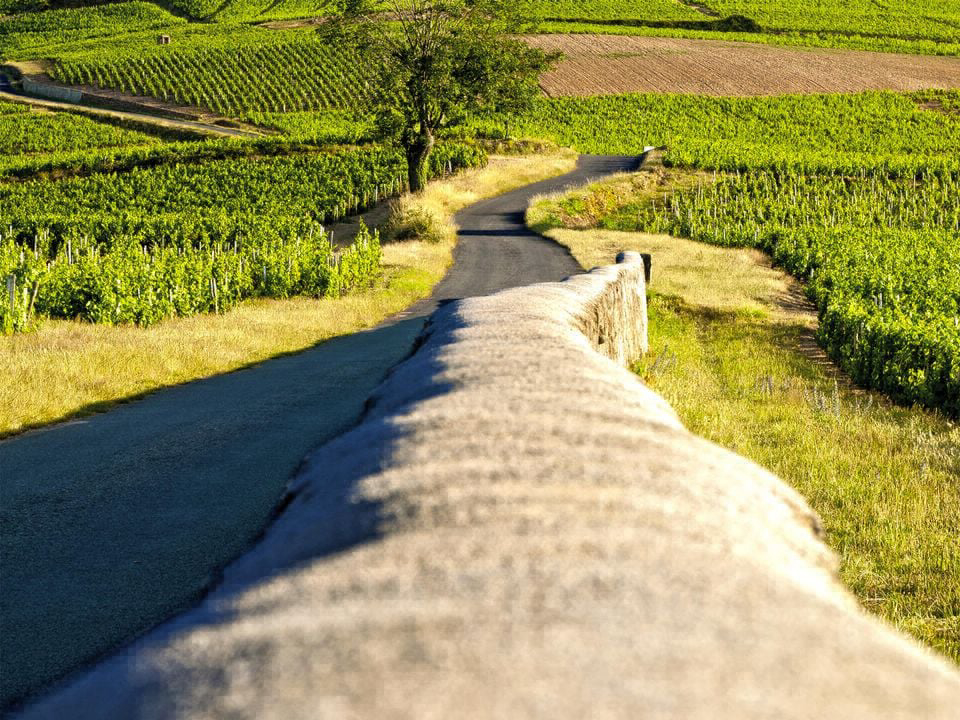 La Grappe Fleurie Ródano-Alpes - Fleurie visuel 7/16 La Grappe Fleurie Ródano-Alpes - Fleurie visuel 7/16