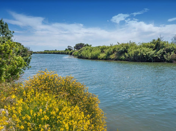 La Maïre Languedoc-Rosellón - Sérignan visuel 15/35 La Maïre Languedoc-Rosellón - Sérignan visuel 15/35