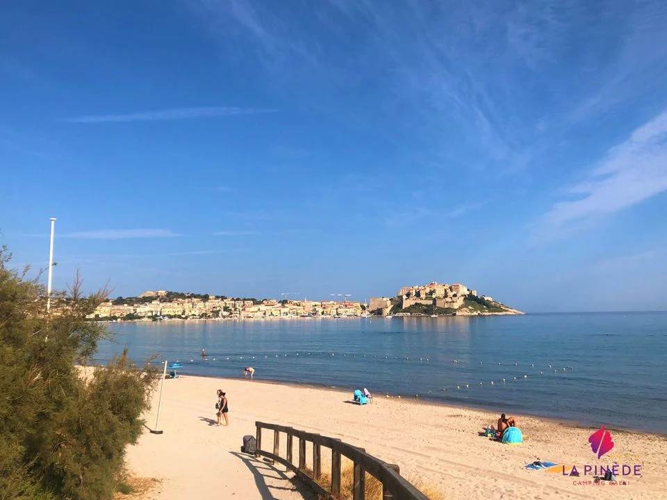 La Pinède Córcega - Calvi visuel 13/14 La Pinède Córcega - Calvi visuel 13/14