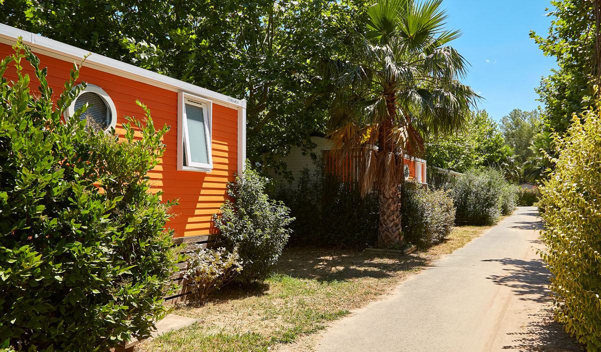 La Pinèderie Poitou-Charentes - Les Mathes-La Palmyre visuel 12/67