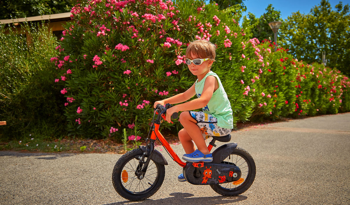 La Pinèderie Poitou-Charentes - Les Mathes-La Palmyre visuel 32/67