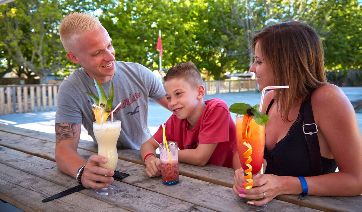 La Pinèderie Poitou-Charentes - Les Mathes-La Palmyre visuel 14/67