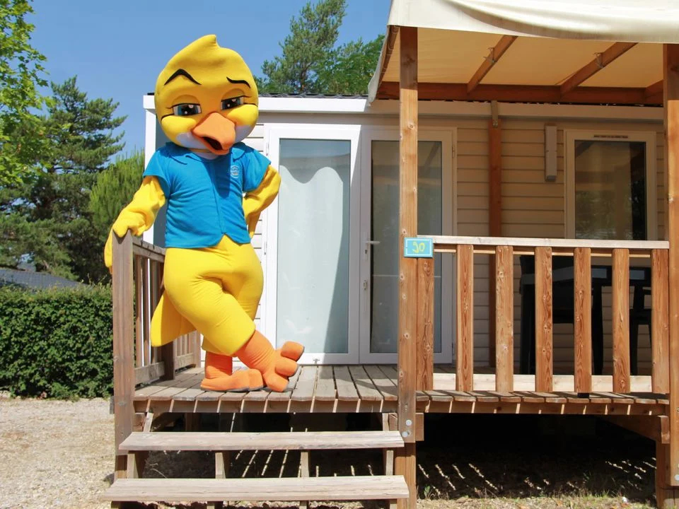 La Pinède Provenza-Alpes-Costa Azul - Gréoux-les-Bains visuel 6/9