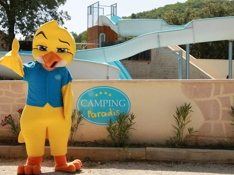 La Pinède Provenza-Alpes-Costa Azul - Gréoux-les-Bains visuel 4/9